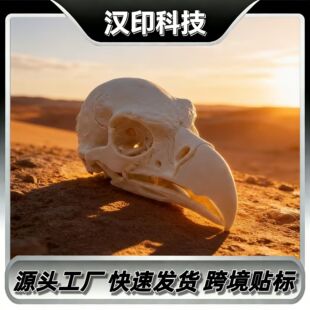 �羳�¿�3D��ӡ���氢��͢�����^��ģ�;Ӽ��k������ˇ�g�b�Ʒ