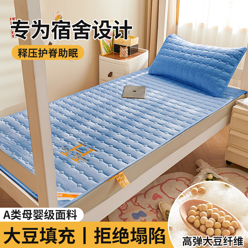 Colchón de soja, cojín, dormitorio de estudiantes en casa, cojín individual, cojín, piso especial para alquiler, cojín para dormir, fondo de cama