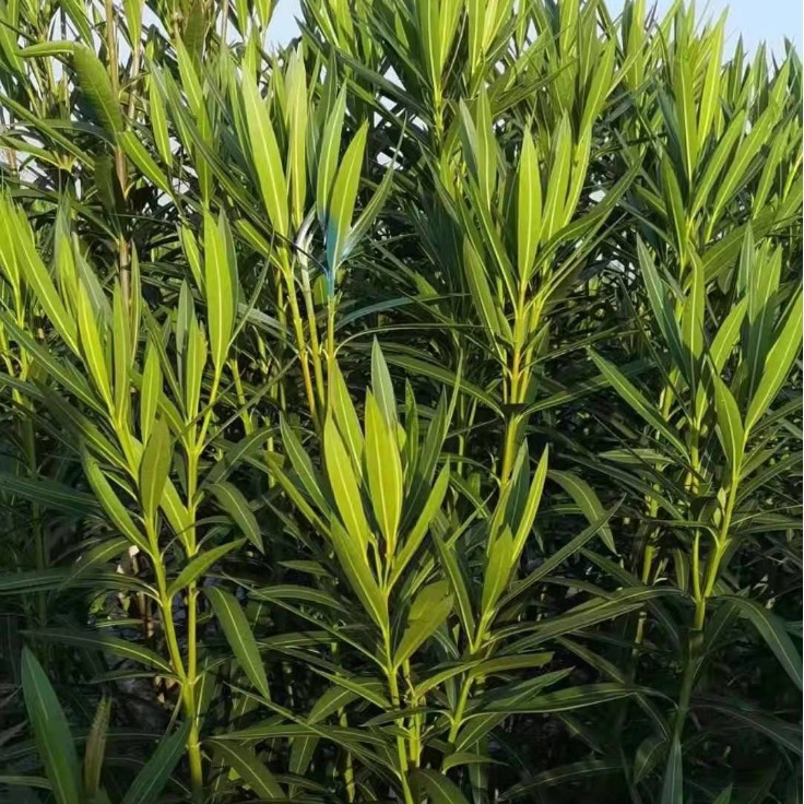 2024-03-26 21:35:42.jpg