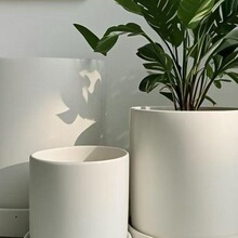 简约素烧陶瓷花盆绿萝多肉盆栽白色粗陶土盆兰花大号口径带托盘