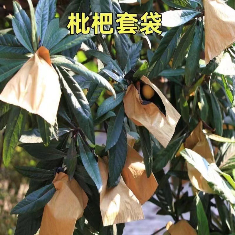 af3171fc-1800-4413-8ec1-e29dcc106f6c.jpe