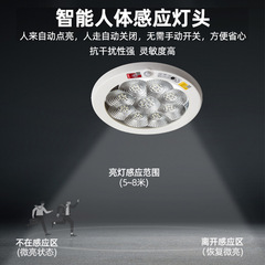 LED智能人體感應吸頂燈雷達聲光控消防應急樓道過道人體感應燈