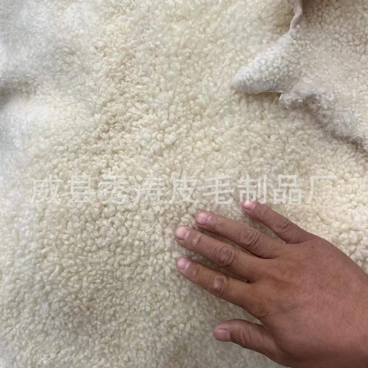 羊羔毛羊皮真皮制品藏袍服装鞋里羊剪绒毛领卷花羊毛皮皮毛一体