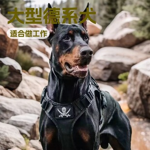���e��Ȯ���w��������С�����͵�ϵ���e����Ȯ����Ȯ��ͥ�o�lȮ