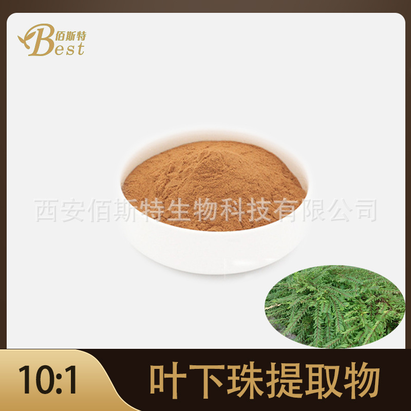 叶下珠提取物10:1 叶下珠粉按比例提取源头厂家样品免费现货