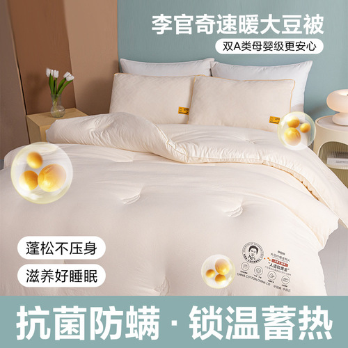 Class A Li Guanqi soybean fiber quilt core soybean quilt summer cool quilt thickened warm winter quilt spring and autumn quilt wholesale