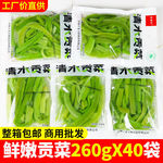 新鲜清水贡菜260g小包装火锅贡菜苔菜响菜凉拌菜串串食材商用批发