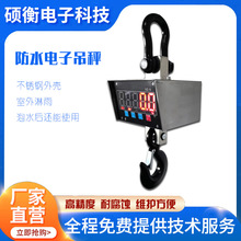 防水直显示电子吊秤 可以浸泡在水里的吊钩秤3T-10T电子吊磅