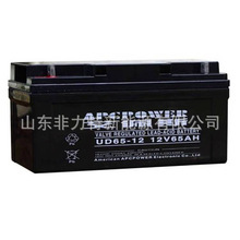 艾佩斯APCPOWER蓄電池UD250-12 12V250AH配電櫃 UPS不間斷電源