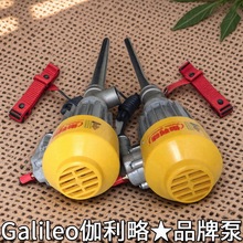 的防爆sbzb4500移动式晶体管小型电动汽油插桶注抽油泵杆吸厂家泵