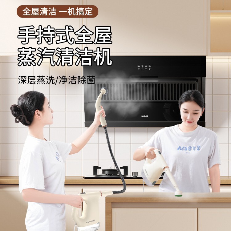 High Temperature and High Pressure Steam Cleaner Household Small Kitchen Air Conditioner Household Appliances Range Hood Cleaning Machine Disinfection Machine