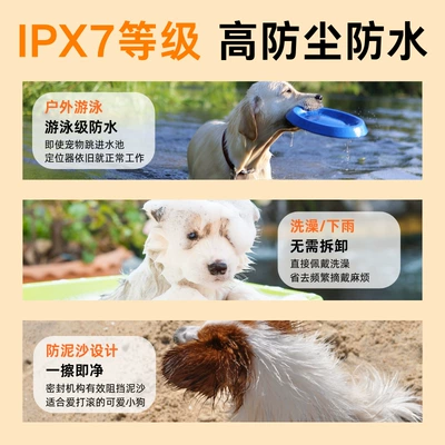 Large Dogs and Hounds — GPS Locator