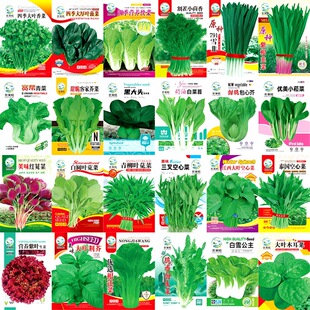 �S�����l�＾�}�����{��������Ѳʴ�ԭ�N��ײ˷N�ѷN���߲˷N��