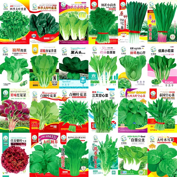 Manufacturer Wholesale Autumn Radish Cabbage Lettuce Rapeseed Color Bag Original Seed Cabbage Seeds Seedlings Vegetable Seeds