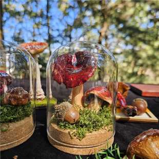 ��ϴ����nɽĢ��΢���^�������p���ܷ�[����ɫ�ͶY�o��Ʒ