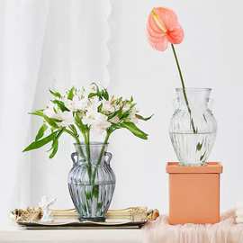 欧式简约复古双耳玻璃花瓶法式客厅茶几餐桌干花摆件创意插花花器