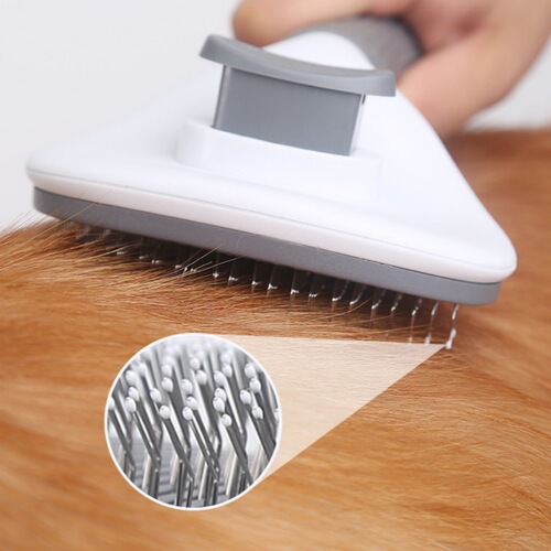Cat comb to remove fleas, pet combing with dense teeth, cat round hole nail scissors, cat supplies set