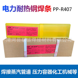 �Ϻ����PP-R407 T22���lP22 E6015-B3 12CrMo�͟��늺��l2.5mm