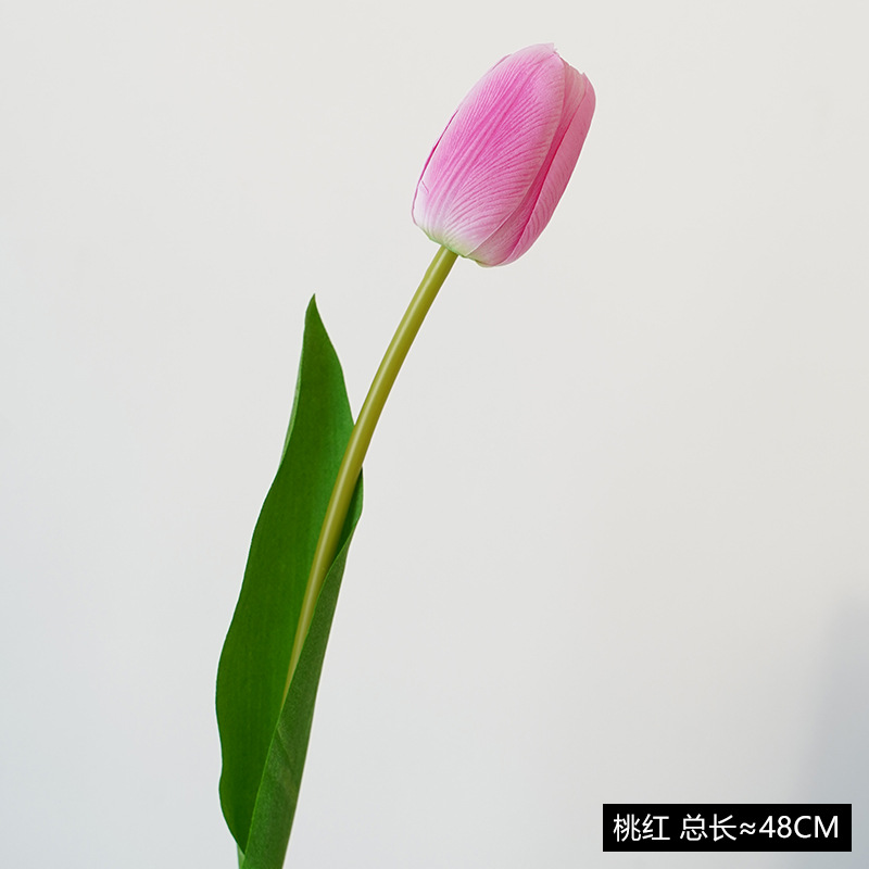 복숭아