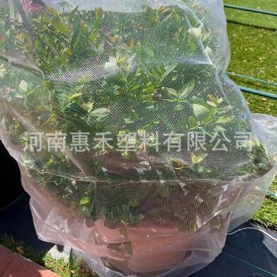 一件打发 可折叠防虫网罩果树树罩多肉莲雾桃树罗幔大棚罩子