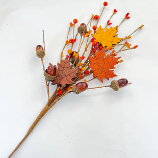 �F؛�ж������~֦�＾�b����ӹ��{��С��֦���R�d�b���֦���S