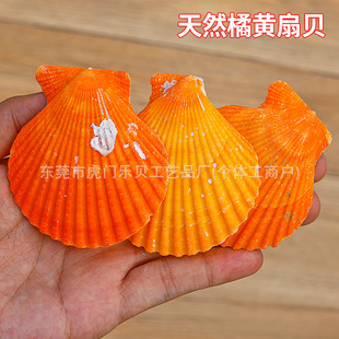 �S��ؐ��Ȼؐ���S���N����Ȼ�S��ؐ5-8cm�۽z��ؐؐ��DIYԭ�����l