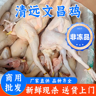 �Ĳ��u���u�ߵ��u�����u���r�F�����r�u���l�������l���B���l