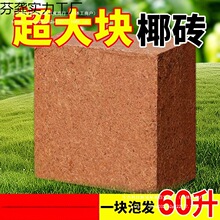 ?9���KҬ�u�I�B���B����Ҭ�Ӛ�����Ү�u�N������Ó�}Ҭ���u��