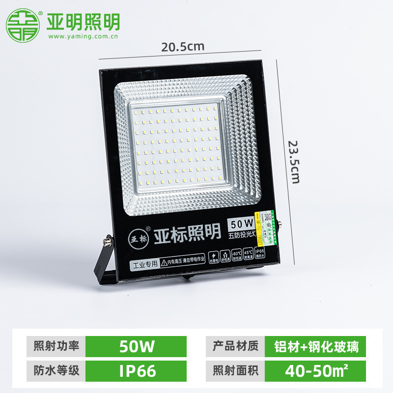 100w - substandard flood light - not rechargeable, not solar powered