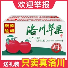 【产地发货】陕西洛川苹果水果红富士新鲜当季整箱10斤装