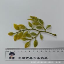 �S��ֱ�N����ֲ�����~Ƭ���~������ϲ����쾰�Gֲ�c�Y�k�����b�