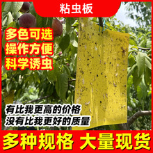 ճ�x�� ������@�ˈ@���ò��x�N�T�x���ω�����lմ�x��