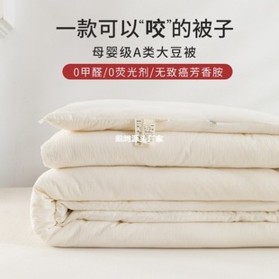 Quilt Core Raw Cotton Soybean Quilt Summer Quilt Spring and Autumn Quilt Winter Quilt Thickened Quilt Mother Quilt Universal for All Seasons