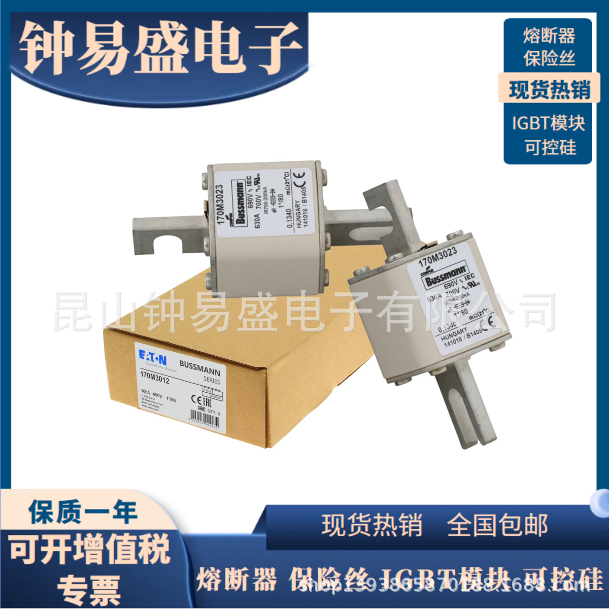 原装巴斯曼熔断器 170M3066 170M3067 170M3068 170M3069现货全新