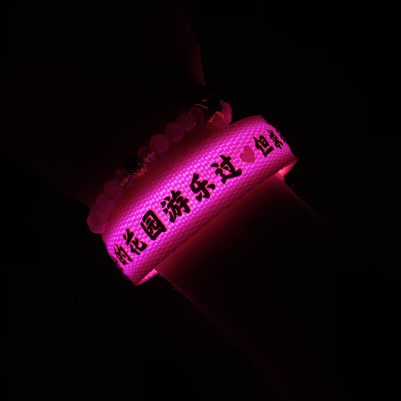 谢霆锋应援手环Evolutio进化演唱会周边发光手环明星应援手腕带|undefined