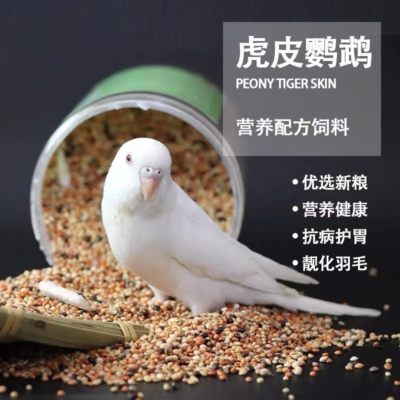 호랑이 피부를 위한 특별한 새 먹이【0.5kg】