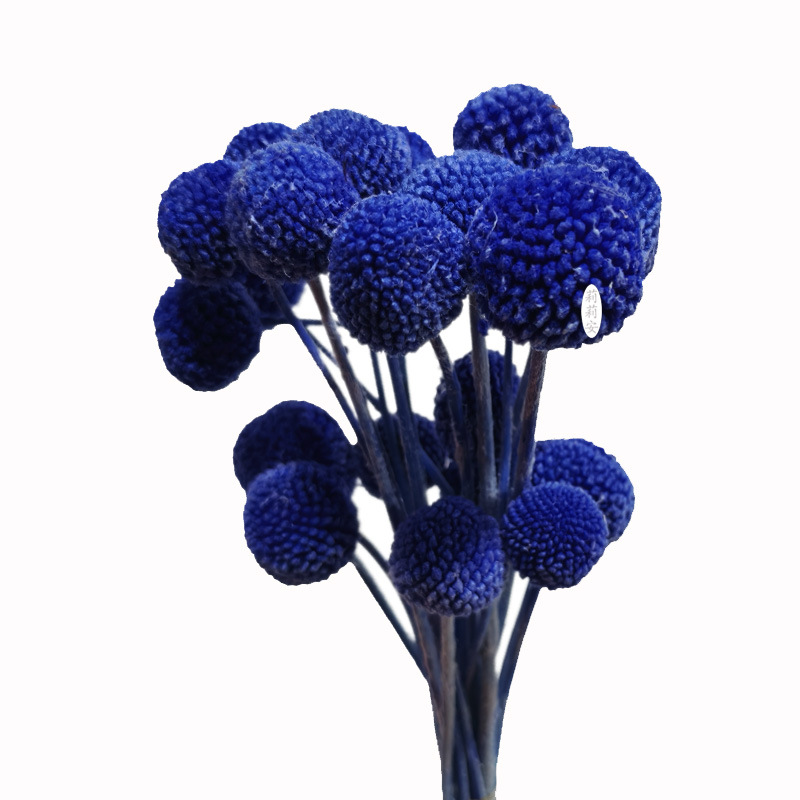 진한 파란색(20개/묶음)