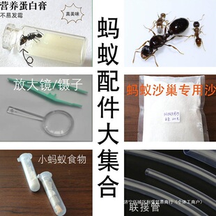 Λρ������N���\�Ŵ��R\���\ɳ��\���z\Λρ����ʳ��\�U������