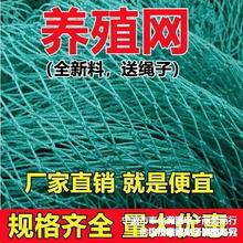 养鸡网家禽养殖网拦鸡鸭网防鸟网爬藤网菜园围网果园网护栏网天网