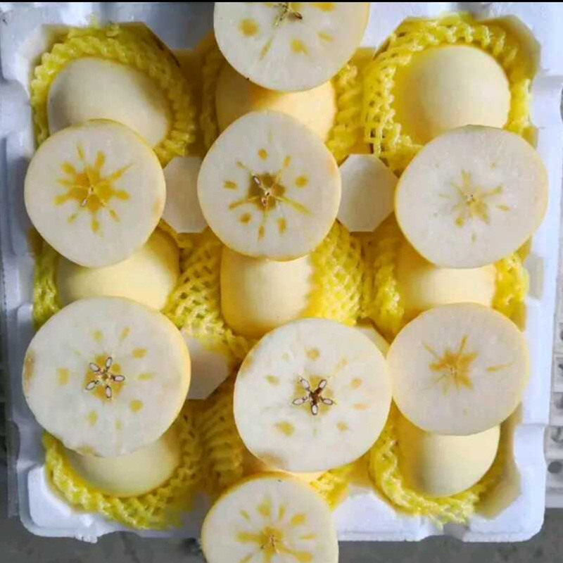 微信图片_20221210084830