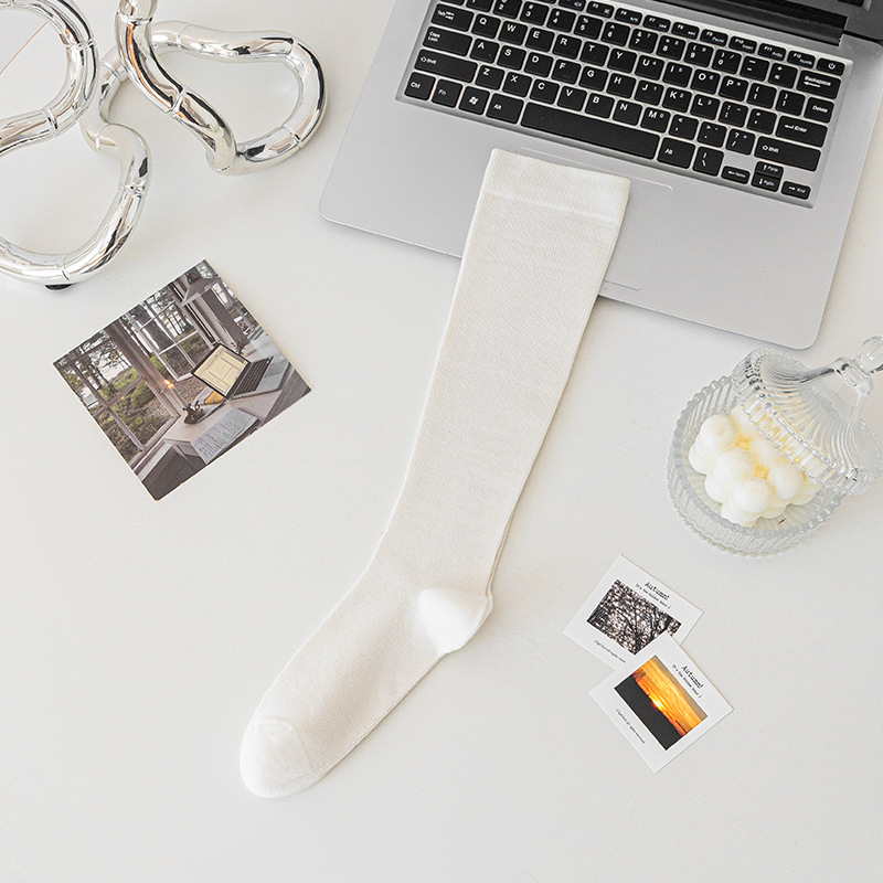 【스타킹】화이트