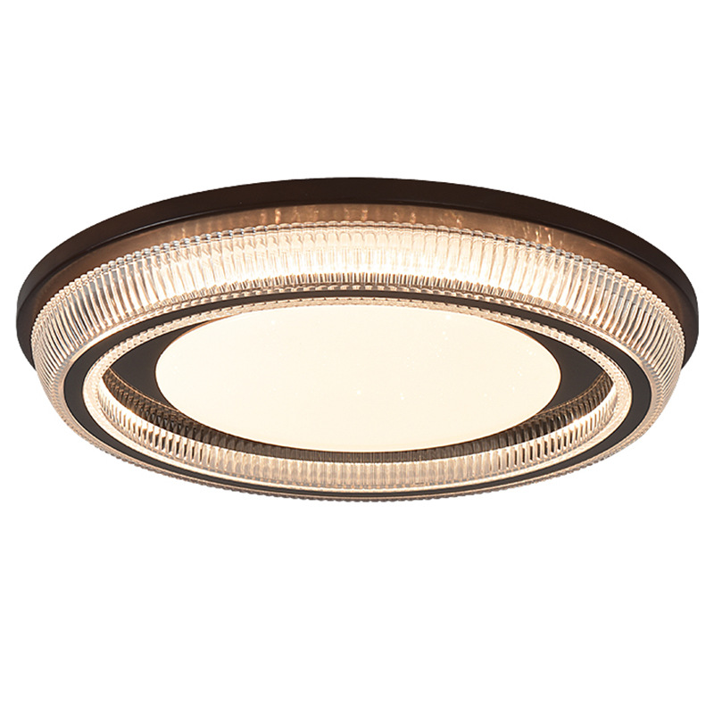 Lámpara de Techo Retro para Dormitorio en Acrílico y Hierro, Regulable, Luz LED, para Dormitorio y Comedor