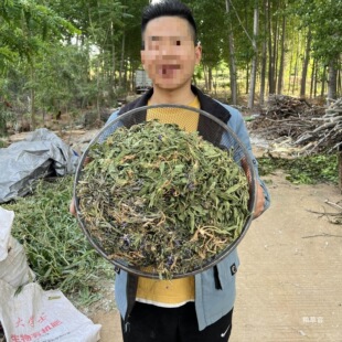 ���Ұ���ϻ��ض����^��Ұ���˸�Ʒ�r�Ұl؛��؛��؛