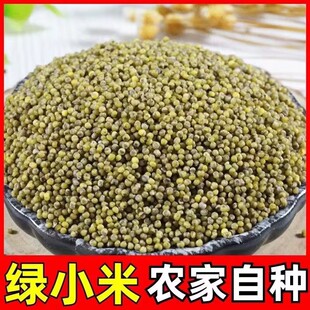 �GС���r���ԷN��؛���|���x֧��һ�����l