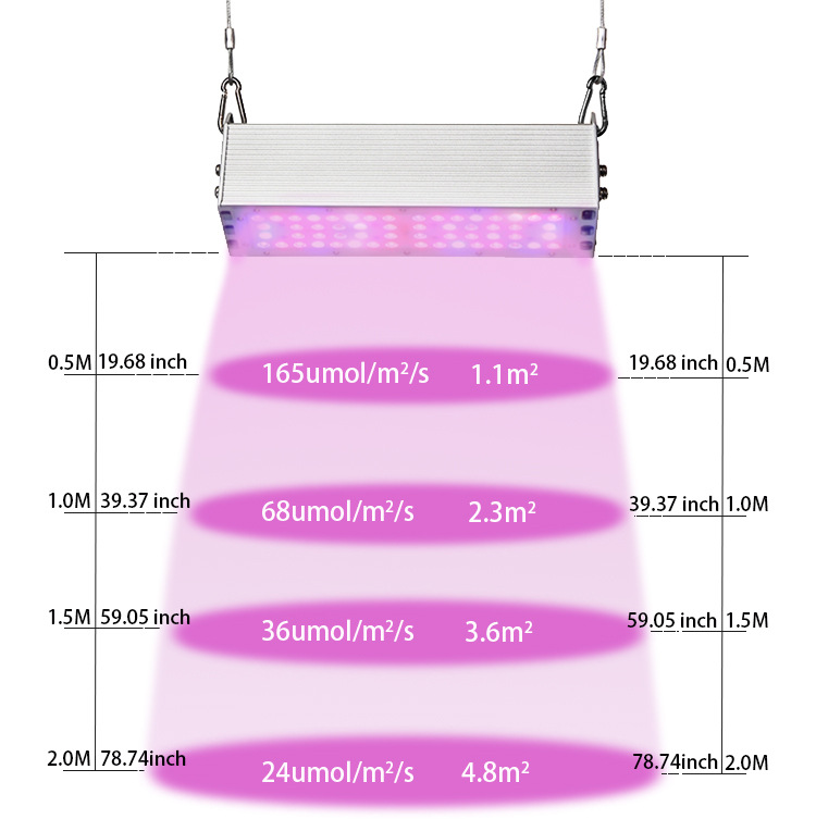 ֱLED50W 100WֲҴֶ֧ƹ