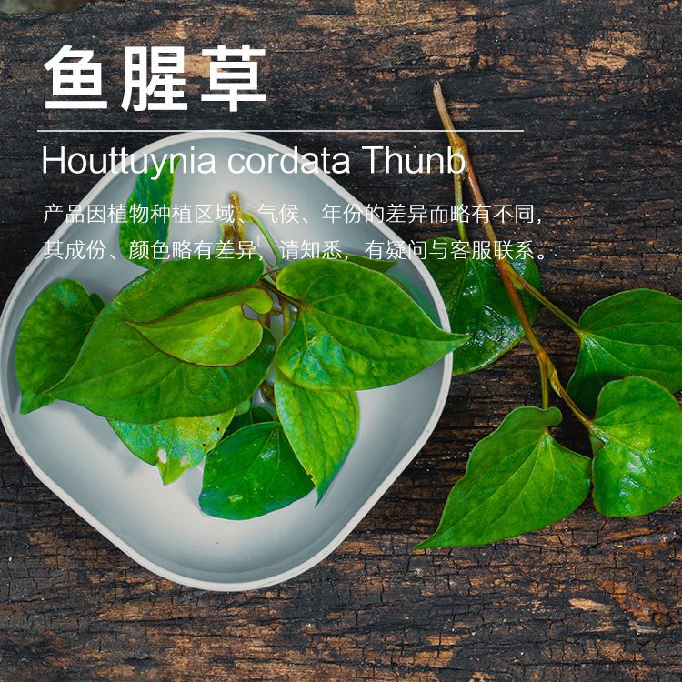 �򻨹�Ӧ���Ȳݾ��� ������ȡ���Ȳ�ֲ�������ͳ���������ӭ�ɹ�