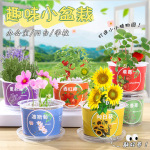 创意儿童果蔬小盆栽学生迷你桌面盆栽幼儿园科学实验果蔬种植杯