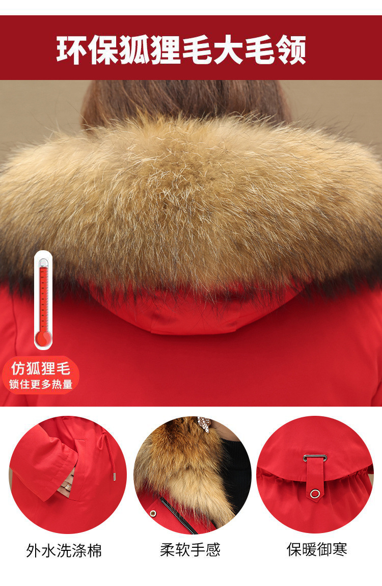 14c13762-76df-4195-a901-4af622328af4.jpe