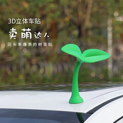 車の屋根の小さい苗木の装飾は電気自動車を貼って通用します。