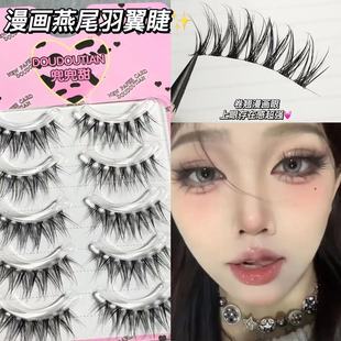 Pocket sweet dovetail wing fishtail comic false eyelashes transparent stem European comic eye Asian mixed blood whole eyelash